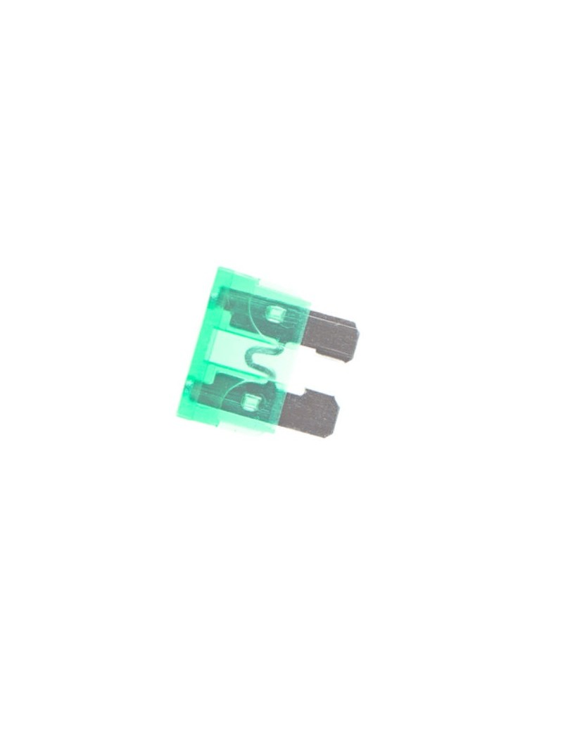 Normal Type Fuse 30A [Nimrod]
