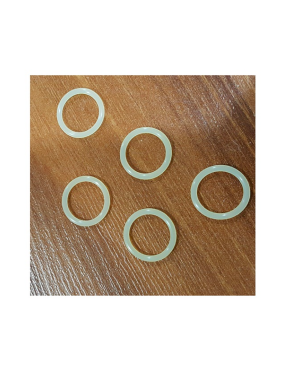 O-Ring CO2 Magazine [APS]