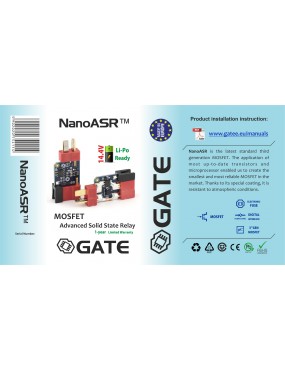 NanoASR [GATE]